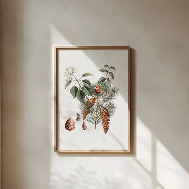 Poster Botânico da Floresta – Pinha e Baga  (Criador carregado)