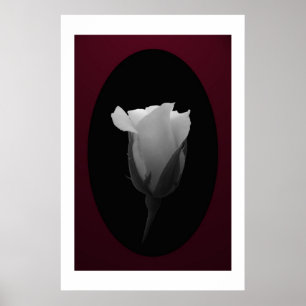 Poster Botão cor-de-rosa (preto & branco)