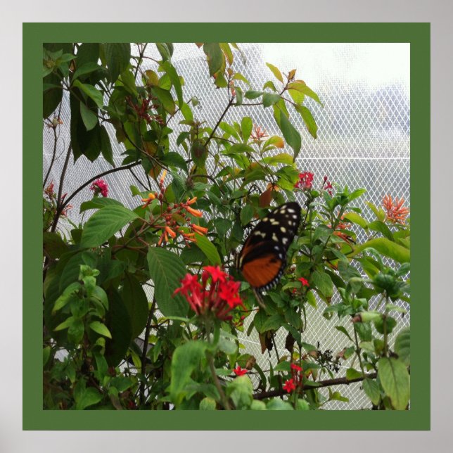 POSTER BOTÃO LARANJA (Frente)