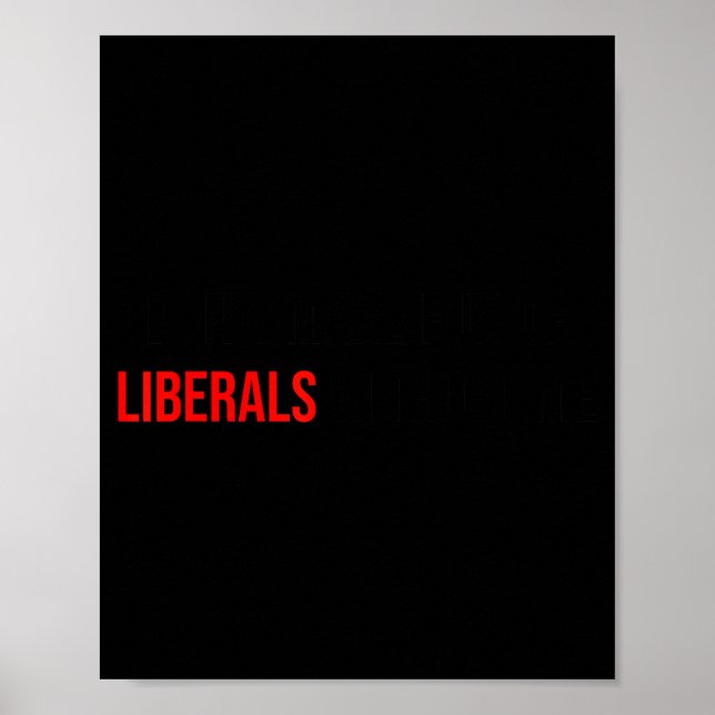 Poster (both Side) Don't Make Fun Of Liberals Without Me  (Frente)