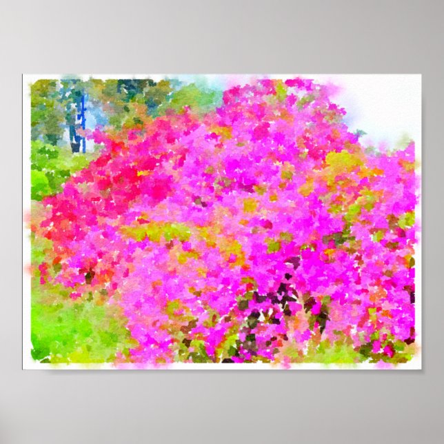 Poster Bougainvillea bush,pintura aquosa (Frente)