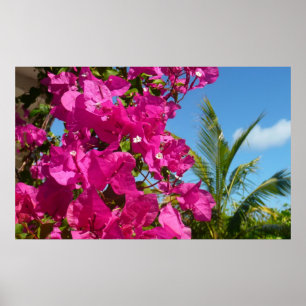 Pôster Bougainvillea e Palm Tree Tropical Nature Cena