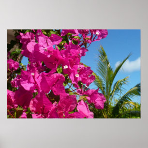 Pôster Bougainvillea e Palm Tree Tropical Nature Cena