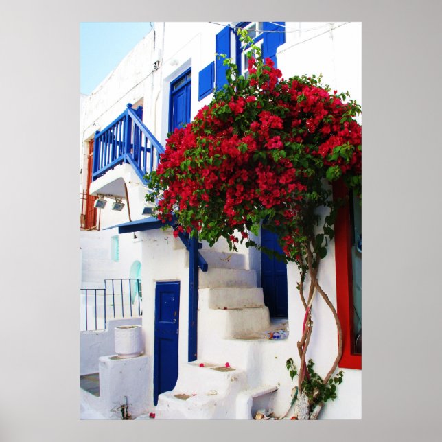 Poster Bougainvillea fora de uma casa, Grécia (Frente)