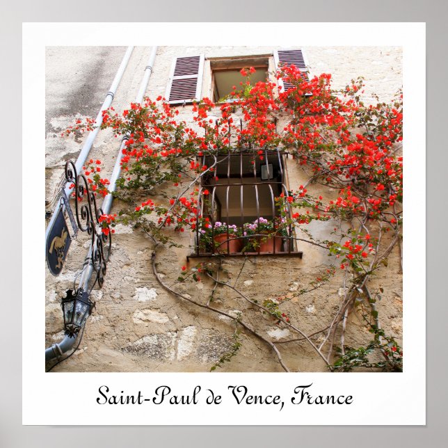 Pôster Bougainvillea na janela (Frente)