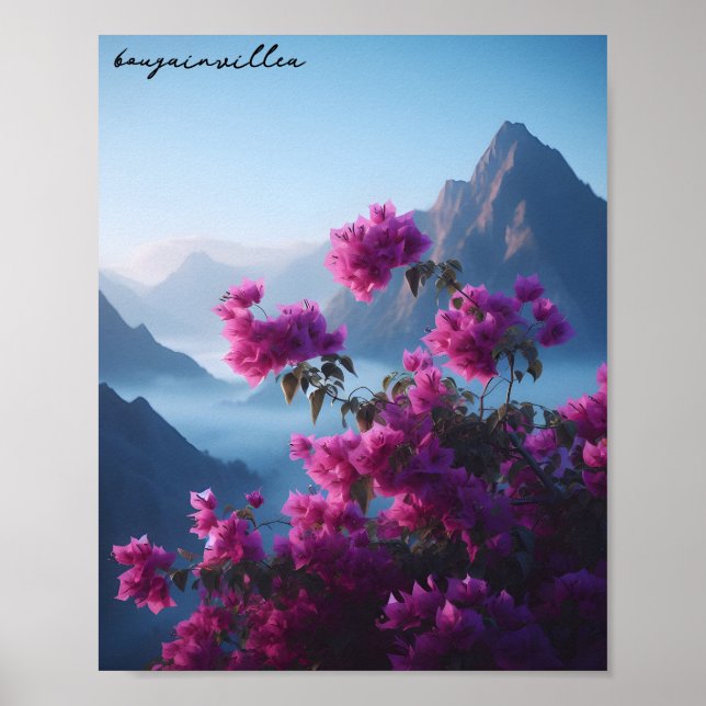 Poster bougainvillea natureza céu azul (Frente)
