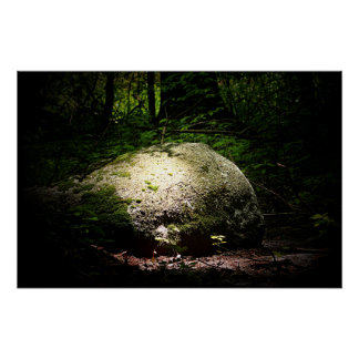 Pôster Boulder in the Woods