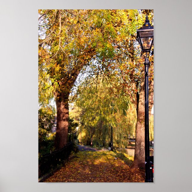 Poster Bourton on the Water Autumn Trees Cotswolds UK (Frente)
