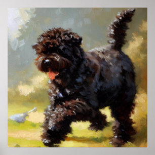 Poster Bouvier des Flandres Dog