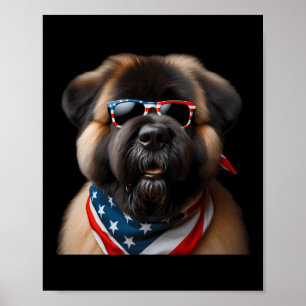 Poster Bouviers Des Flandres Dog 4 De Julho Americano