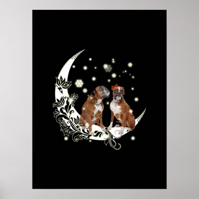 Poster Boxer (Frente)