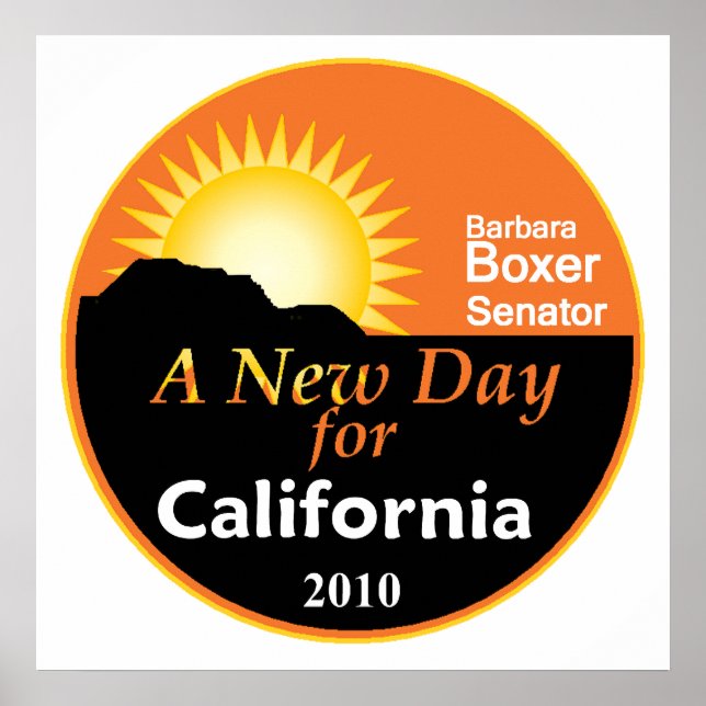 POSTER BOXER 2010 (Frente)