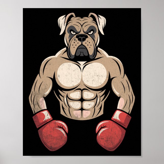Poster Boxer Cachorro Luvas Cachorros de Animais de estim (Frente)