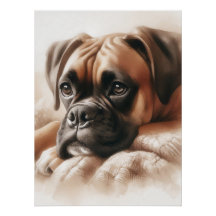 Boxer Dog: Mestre da Chill & Expert Snuggler