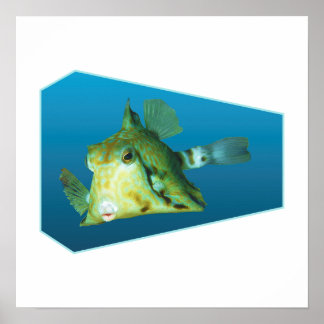 Poster Boxfish - Design gradiente fundo azul |