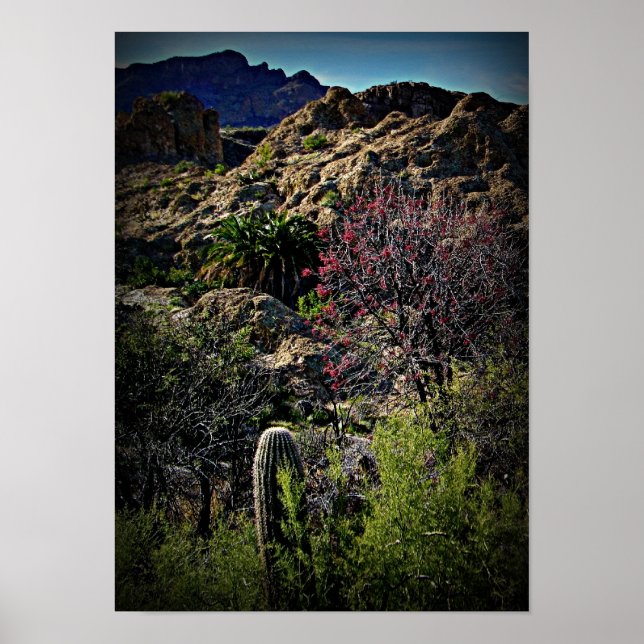 Poster Boyce Thompson Arboretum (Frente)