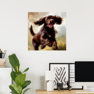 Poster Boykin Spaniel Dog