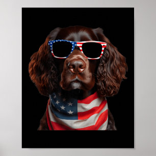 Poster Boykin Spaniel Dog 4 De Julho Independente America