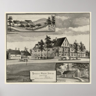 Poster Bradford Primaveras Minerais