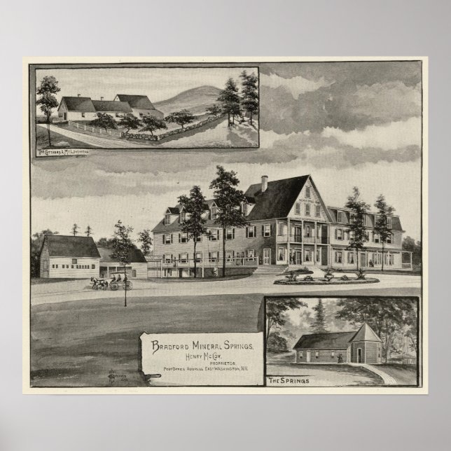 Poster Bradford Primaveras Minerais (Frente)