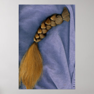 Pôster Braid