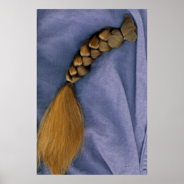 Pôster Braid (Frente)