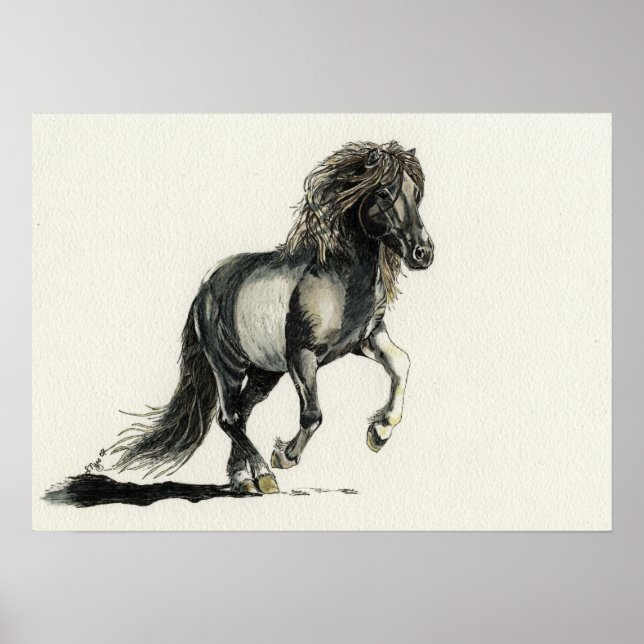 Poster Brana (Frente)