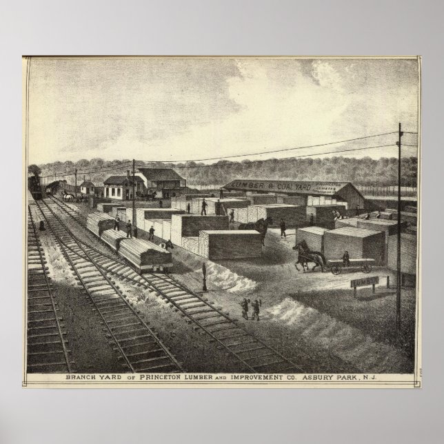Pôster Branch yard, Princeton Lumber & Improving Co (Frente)