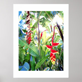 Poster branco (18" x 24") O Bali de Flores Vermelh