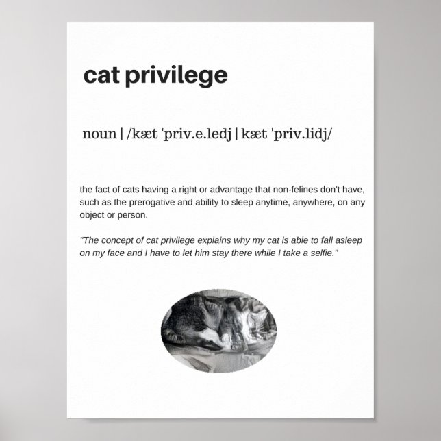 Poster Branco de citação engraçada de privilégio de gato (Frente)