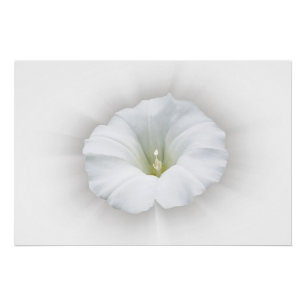 Pôster branco e tons de cinza