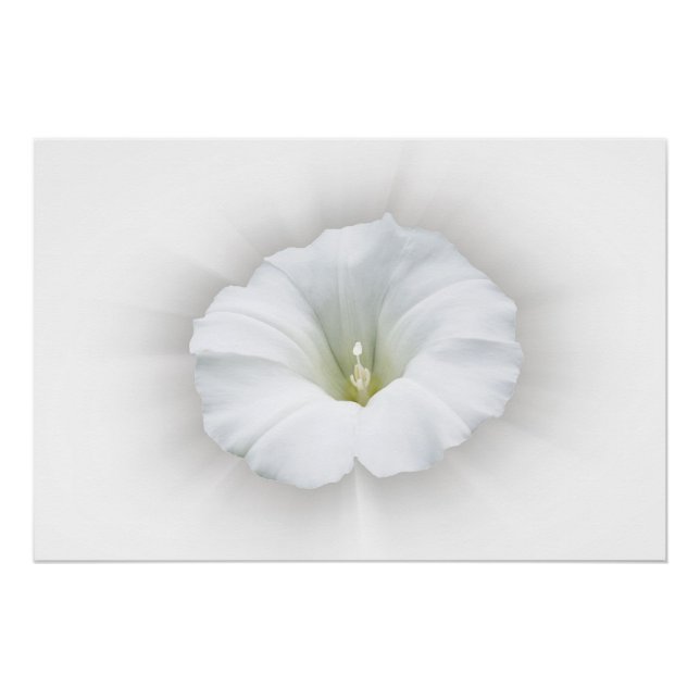 Pôster branco e tons de cinza (Frente)