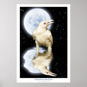 Poster BRANCO raro da arte da fantasia do CORVO