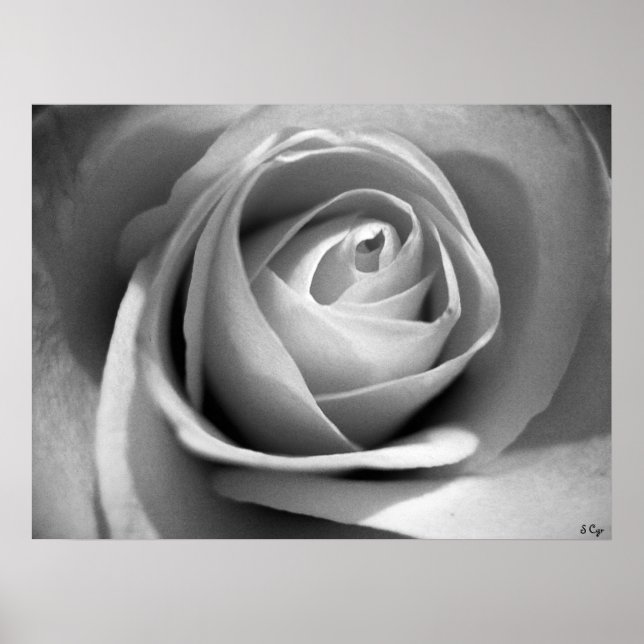 Poster Branco Suave, S Cyr (Frente)