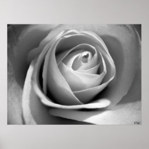 Poster Brandamente branco, S Cyr