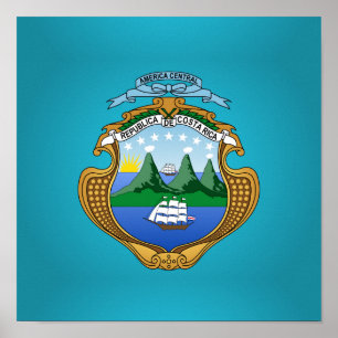 Poster Brasão de Rican da costela