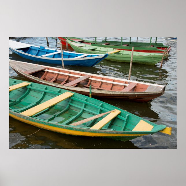 Poster Brasil, Amazônia, Alter Do Chao (Frente)