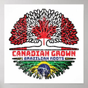 Poster Brasil Brasileiro Canadense Canadá Bandeira Raízes