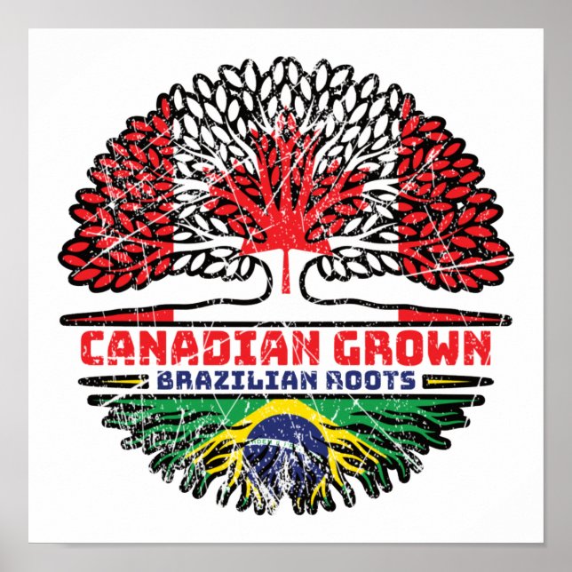 Poster Brasil: Canadá, Canadá, Bandeira de Raízes de Árvo (Frente)