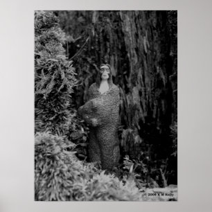 POSTER BRAVE