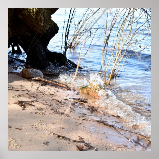 Poster Breakers, vida na praia (Frente)