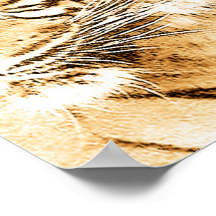 Pôster Breaking Up_