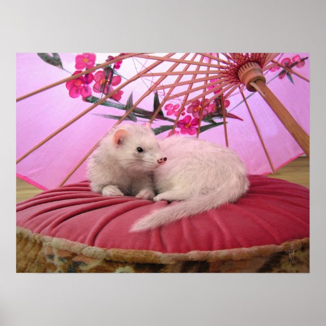 Poster Breeze Do Japão (Frente)