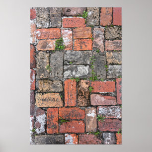 Poster Brick Sidewalk, Apalachicola, Florida