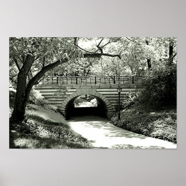 Poster Brick Underpass e Path no Central Park (Frente)