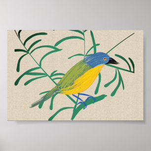 Poster Bright African Bird Bush Shrike em Linen Canvas