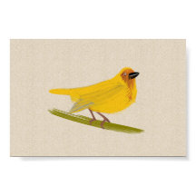 Bright African Bird Weaver