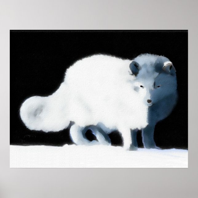 Pôster Bright Arctic Fox (Frente)