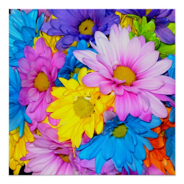 Pôster Bright Daisy Flower Mix Perfect Poster (Frente)