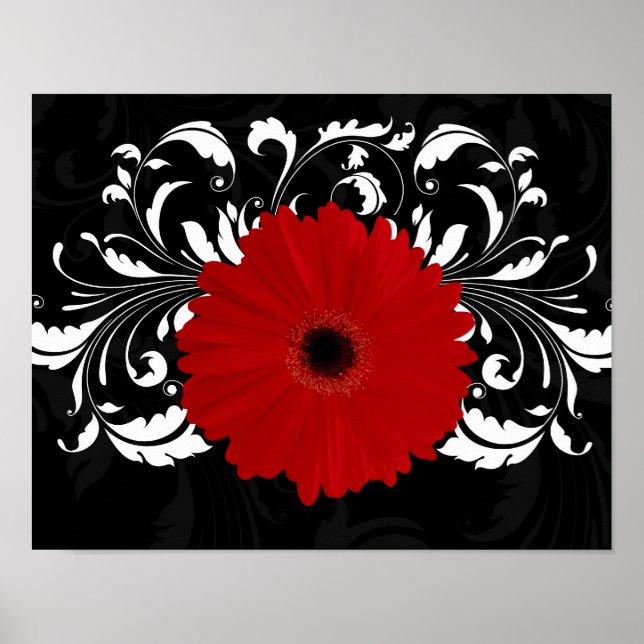 Pôster Bright Red Gerbera Daisy em Preto (Frente)